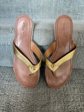 Coach Metallic Gold Leather Thong Sandals for Women